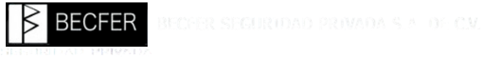 BECFER logo